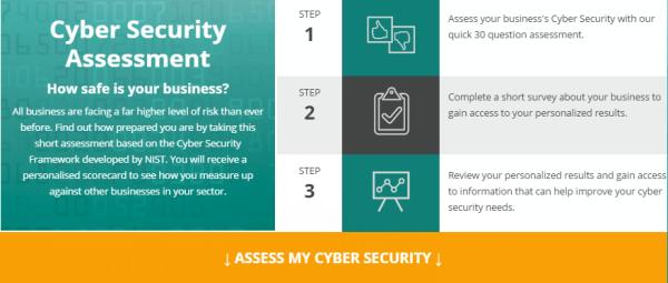 The Cyber Security Assessment is a free online tool to help business ensure they are safe.