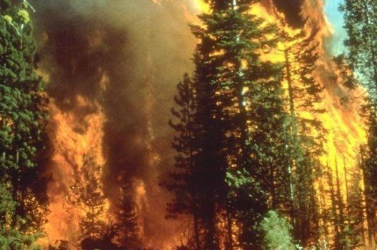 wildfire-california